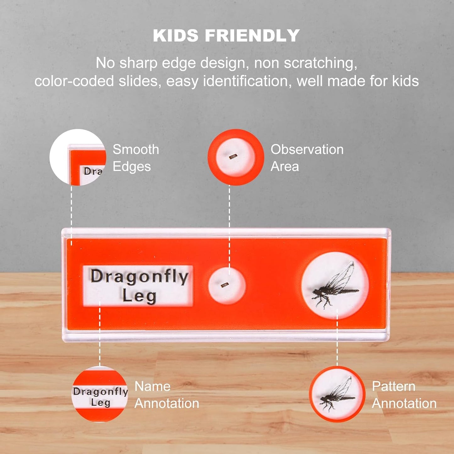 Digislides - Microscope Slide Set (48 pcs)